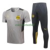 BVB Borussia Dortmund Maillot d'Entraînement 22-23 Gris Clair Pour Homme